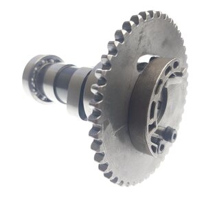 Linhai camshaft group