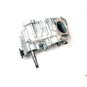 Linhai Engine/Gearbox M565L 1BX-00000-50