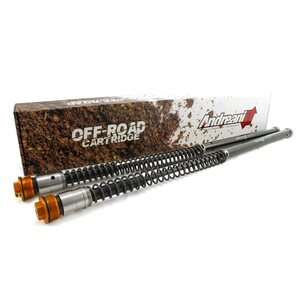 Andreani Cartridge Kit, WP 35, KTM 17-21 50 SX, Husqvarna 18-21 TC 50, GasGas 21 MC 50