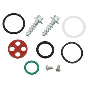 TMV Fuel cock repair kit