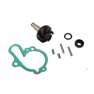 Water pump repair kit Minarelli AM6