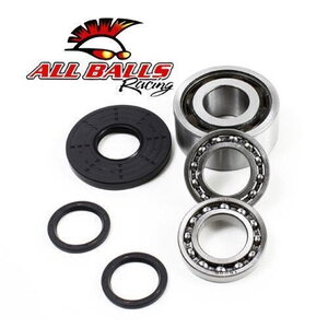 All Balls Differential Bearing & Seal Kit