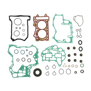 Sno-X Full gasket set with oil seals BRP 600 ACE