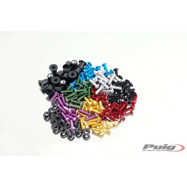 Puig Screw Kit C/Silver