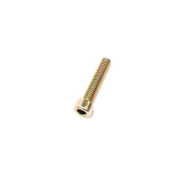 Linhai BOLT SOCKET HEAD M6X30
