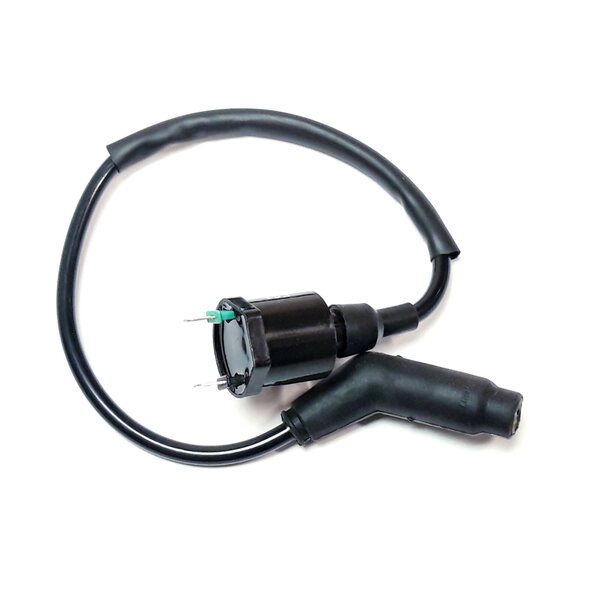 Linhai IGNITON COIL AND WIRE