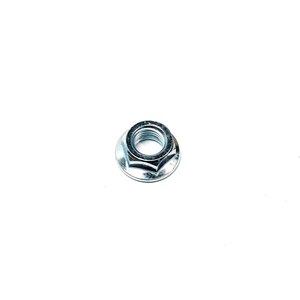 Linhai Nut
