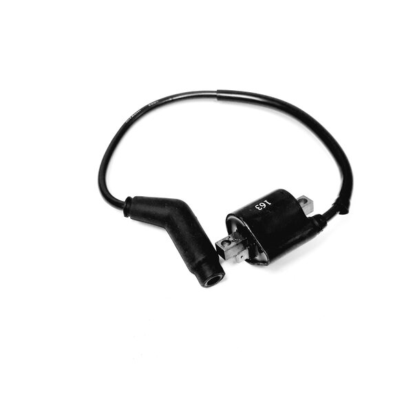 Linhai COIL ASSY IGNITION