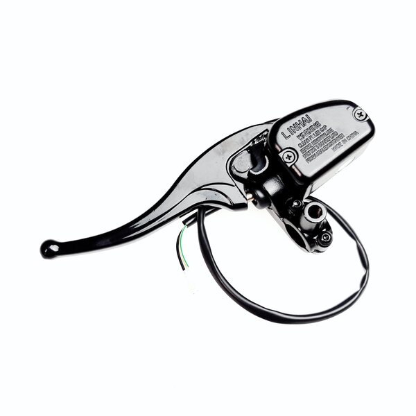 Linhai MASTER CYLINDER WITH BRAKE LEVER（PASSIVATION）