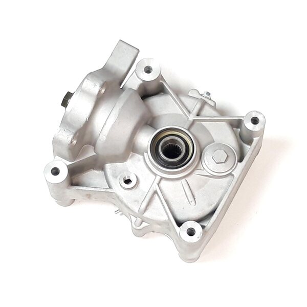 Linhai REAR GEAR-BOX ASSY